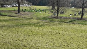 IMG-20190324-WA0003